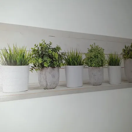 Casa Tavio 6 Casa Tavio 7 Apartment